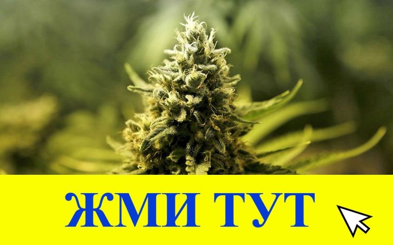 Купить наркотики в Новокубанске